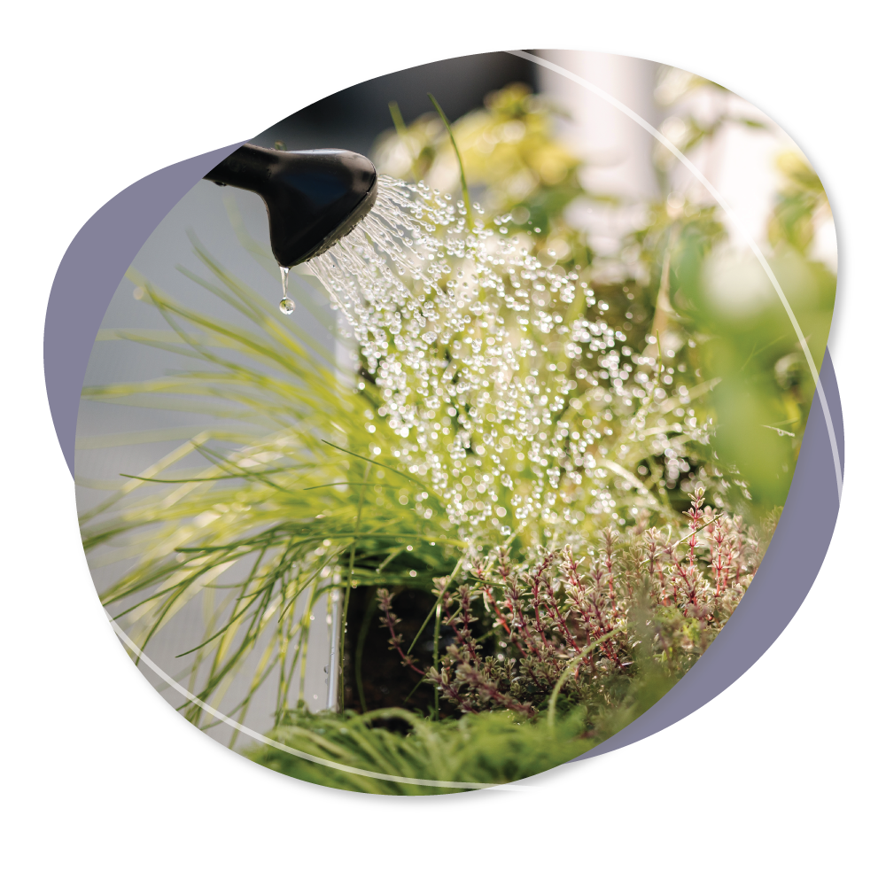 Watering-the-Plants-outdoors2