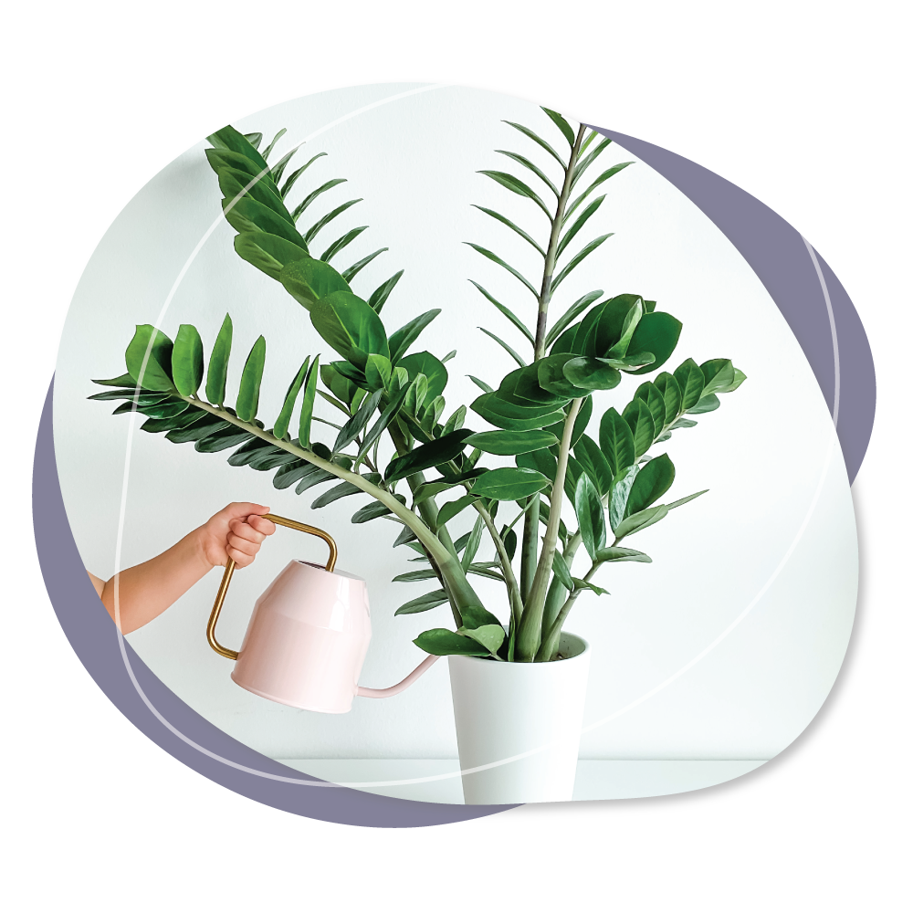 Watering-the-Plants2